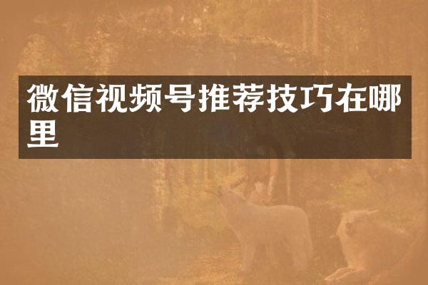 微信视频号推荐技巧在哪里