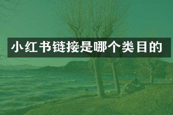 小红书链接是哪个类目的