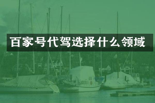 百家号代驾选择什么领域