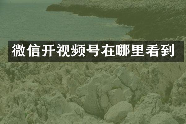 微信开视频号在哪里看到
