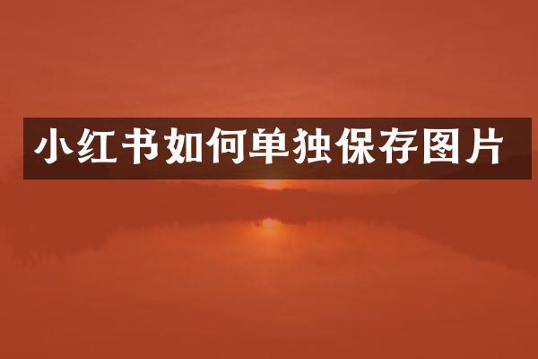 小红书如何单独保存图片