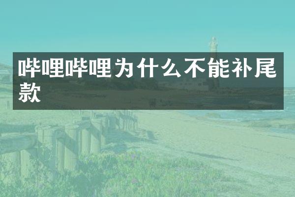 哔哩哔哩为什么不能补尾款