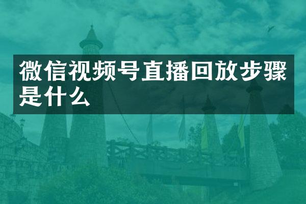 微信视频号直播回放步骤是什么