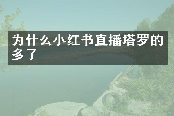 为什么小红书直播塔罗的多了