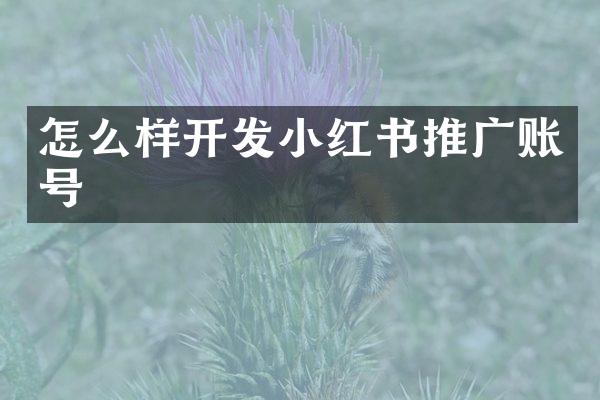怎么样开发小红书推广账号