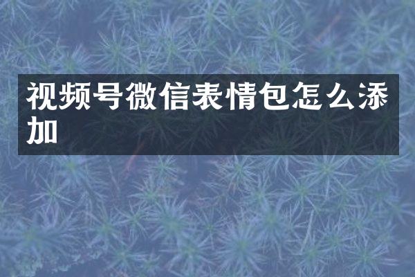 视频号微信表情包怎么添加