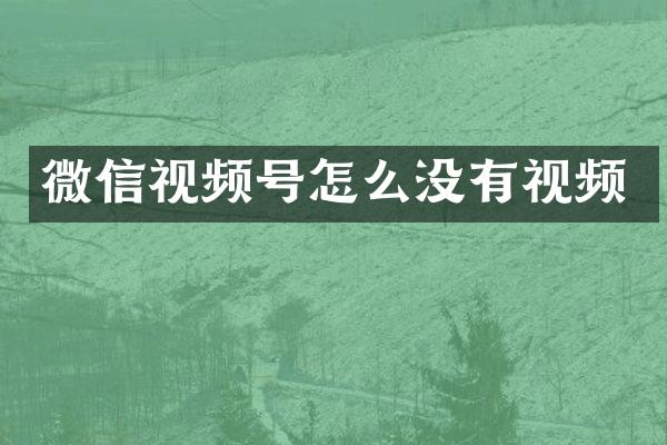 微信视频号怎么没有视频