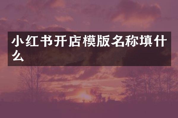 小红书开店模版名称填什么
