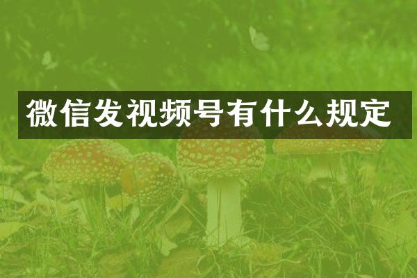 微信发视频号有什么规定
