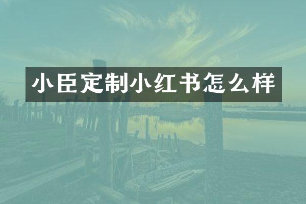 小臣定制小红书怎么样