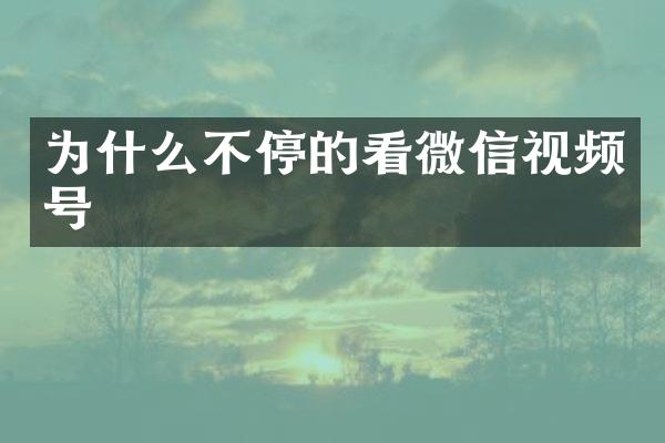 为什么不停的看微信视频号