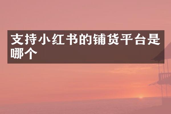 支持小红书的铺货平台是哪个