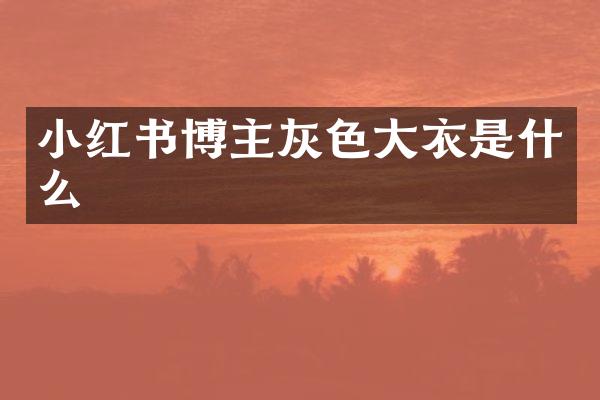 小红书博主灰色大衣是什么