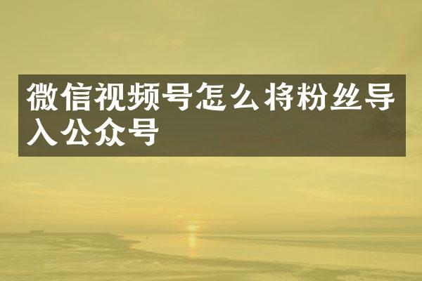 微信视频号怎么将粉丝导入公众号