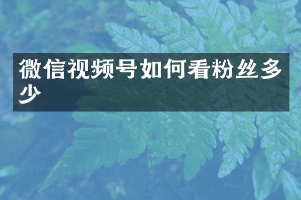 微信视频号如何看粉丝多少