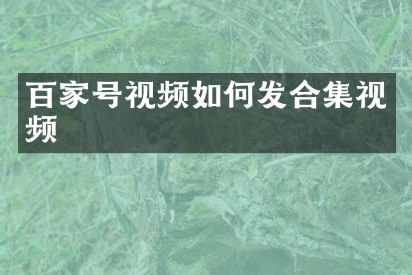 百家号视频如何发视频
