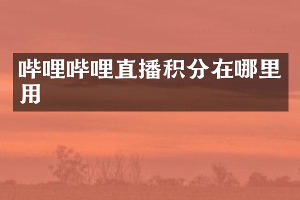 哔哩哔哩直播积分在哪里用