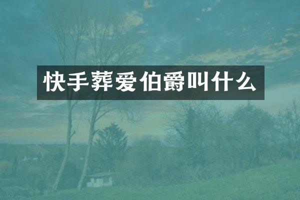 快手葬爱伯爵叫什么