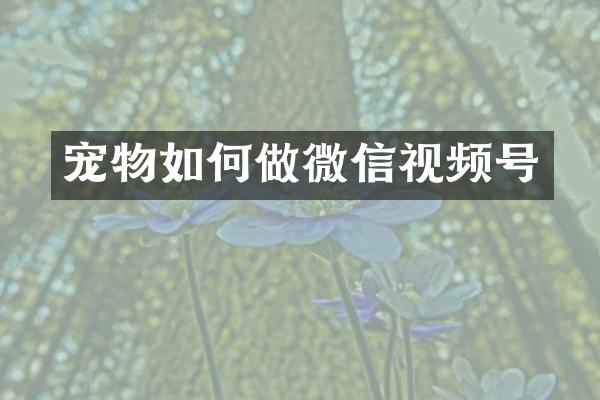 宠物如何做微信视频号