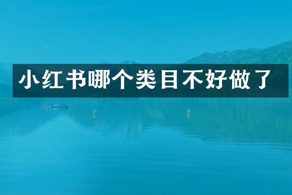 小红书哪个类目不好做了