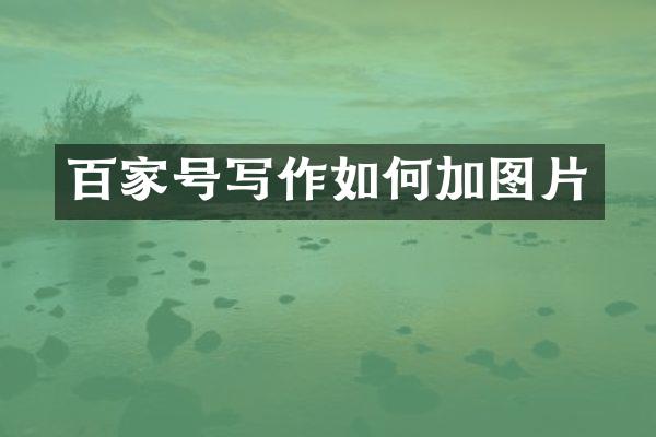 百家号写作如何加图片