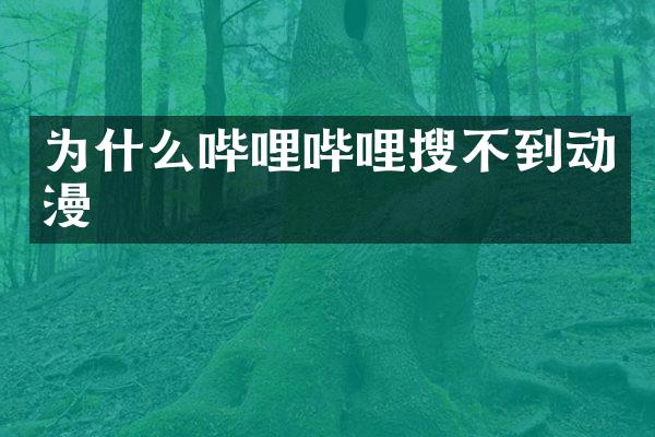 为什么哔哩哔哩搜不到动漫