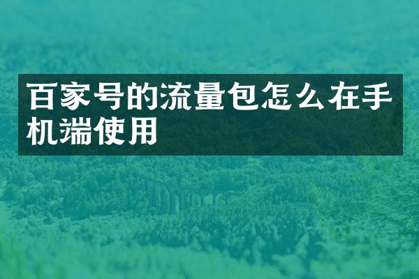 百家号的流量包怎么在手机端使用