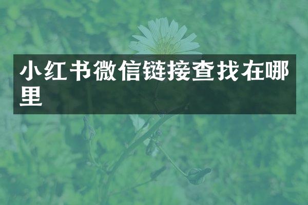 小红书微信链接查找在哪里