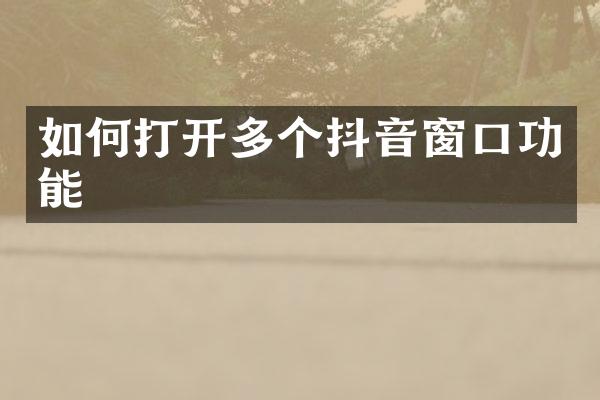 如何打开多个抖音窗口功能