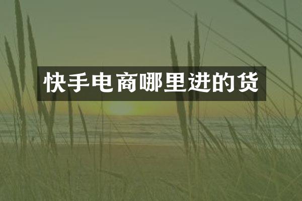 快手电商哪里进的货