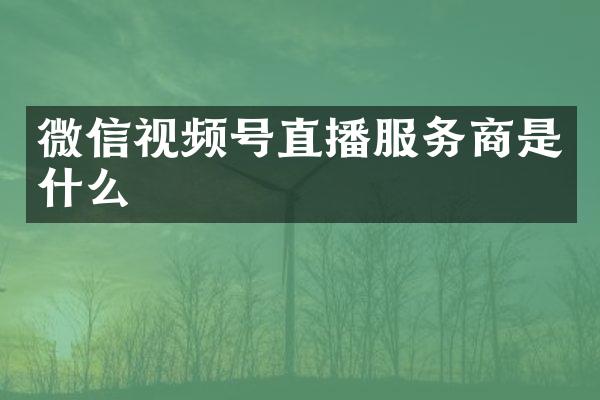 微信视频号直播服务商是什么