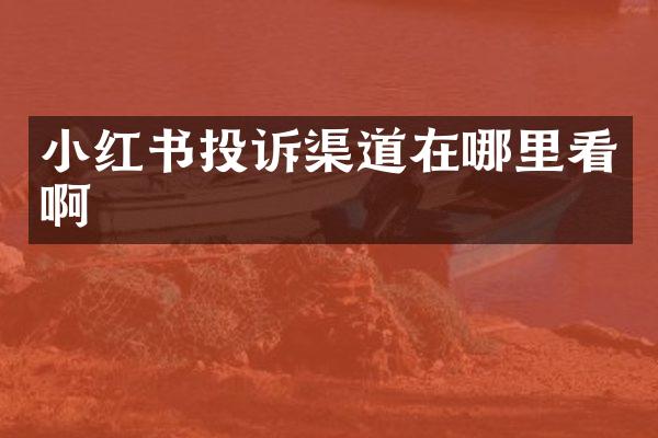 小红书投诉渠道在哪里看啊