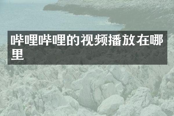 哔哩哔哩的视频播放在哪里