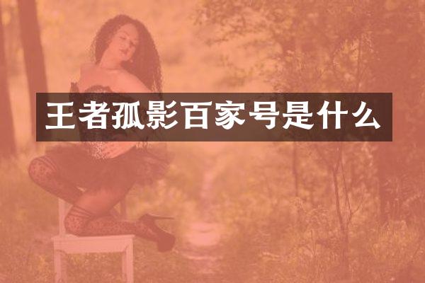 王者孤影百家号是什么