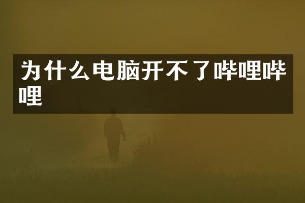 为什么电脑开不了哔哩哔哩