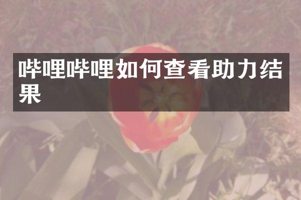 哔哩哔哩如何查看助力结果