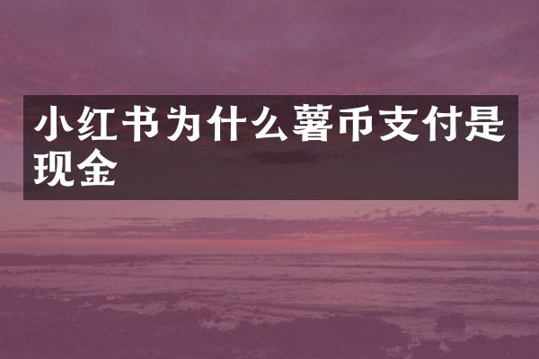 小红书为什么薯币支付是现金
