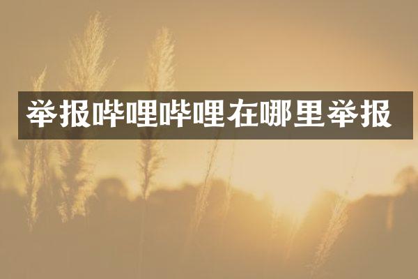 举报哔哩哔哩在哪里举报