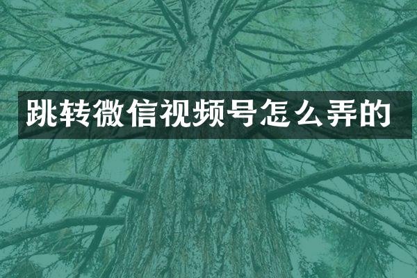 跳转微信视频号怎么弄的