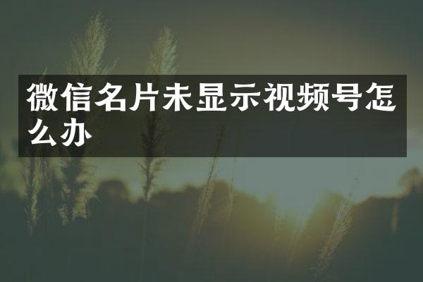 微信名片未显示视频号怎么办