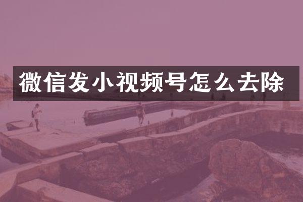 微信发小视频号怎么去除