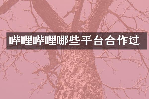 哔哩哔哩哪些平台合作过