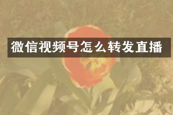 微信视频号怎么转发直播
