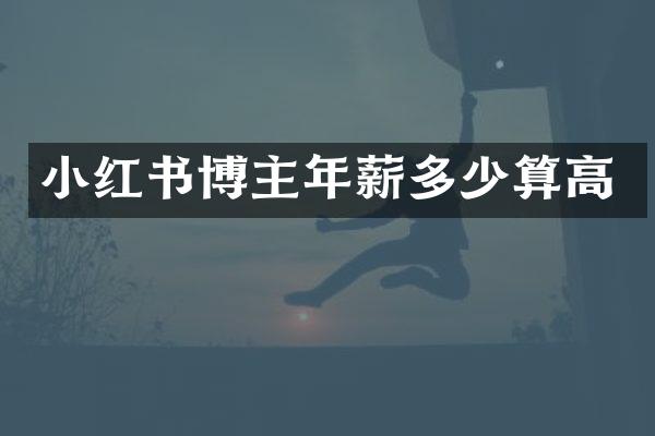 小红书博主年薪多少算高