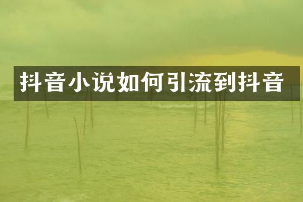 抖音小说如何引流到抖音