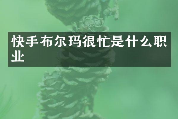 快手布尔玛很忙是什么职业