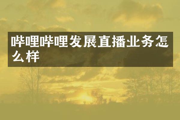 哔哩哔哩发展直播业务怎么样