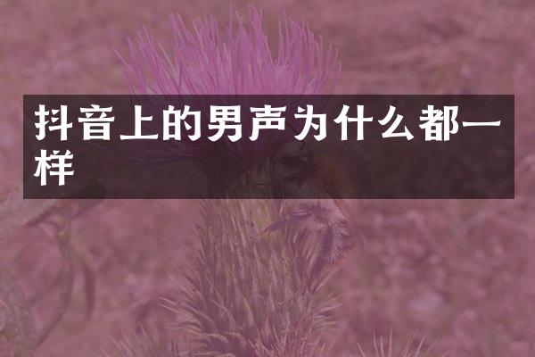 抖音上的男声为什么都一样