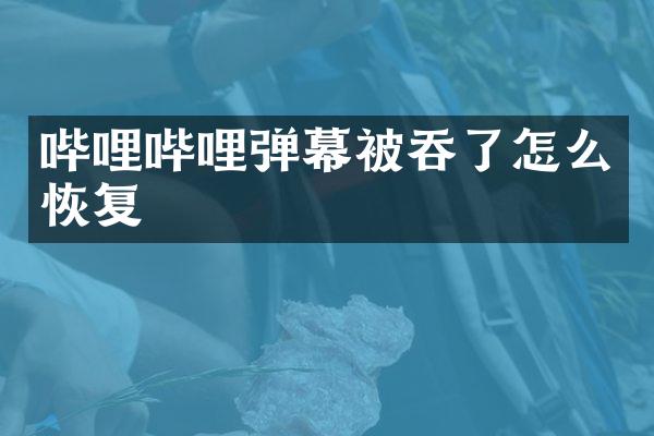 哔哩哔哩弹幕被吞了怎么恢复