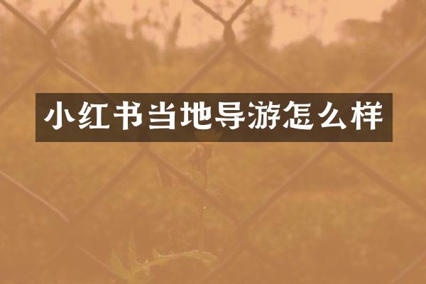 小红书当地导游怎么样